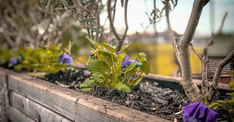 Fabriquer une jardinière en bois pour son balcon : 10 idées faciles et stylées