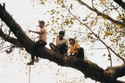 Construire une cabane pour enfants dans votre jardin : guide ultime 2026