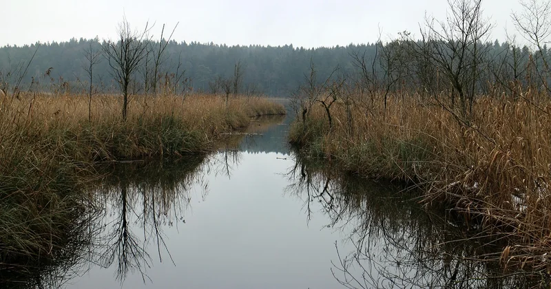 Drainage et protection : ce qui sauve tes plantes (et ton bois)